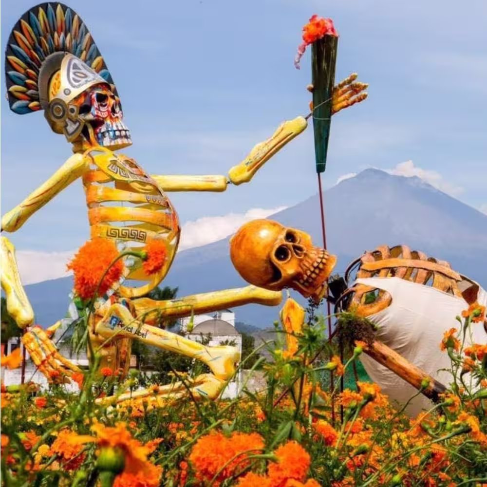 Imagen de Atlixco, Cempasuchil y Cholula (Especial dia de muertos)