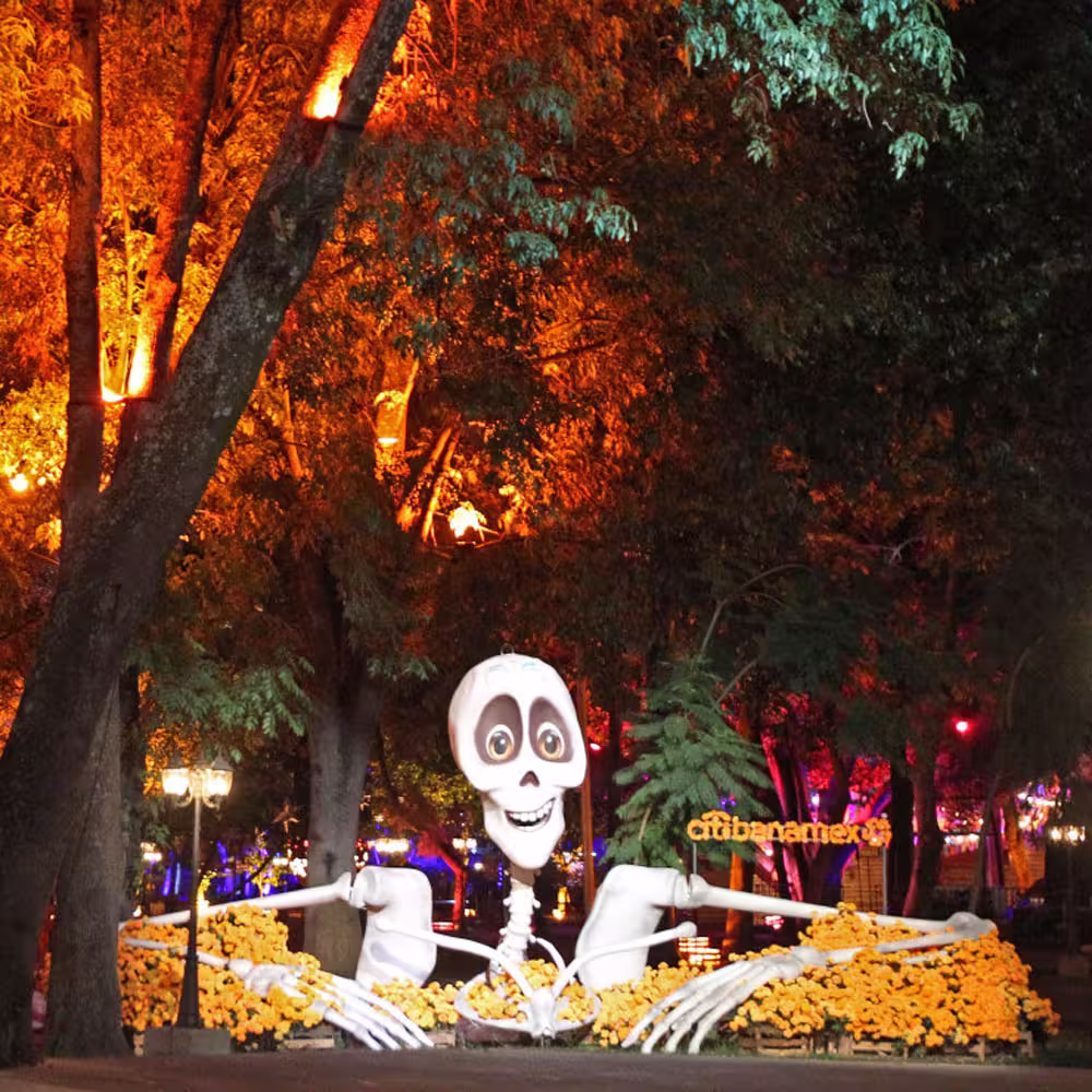 Imagen de Calaverandia