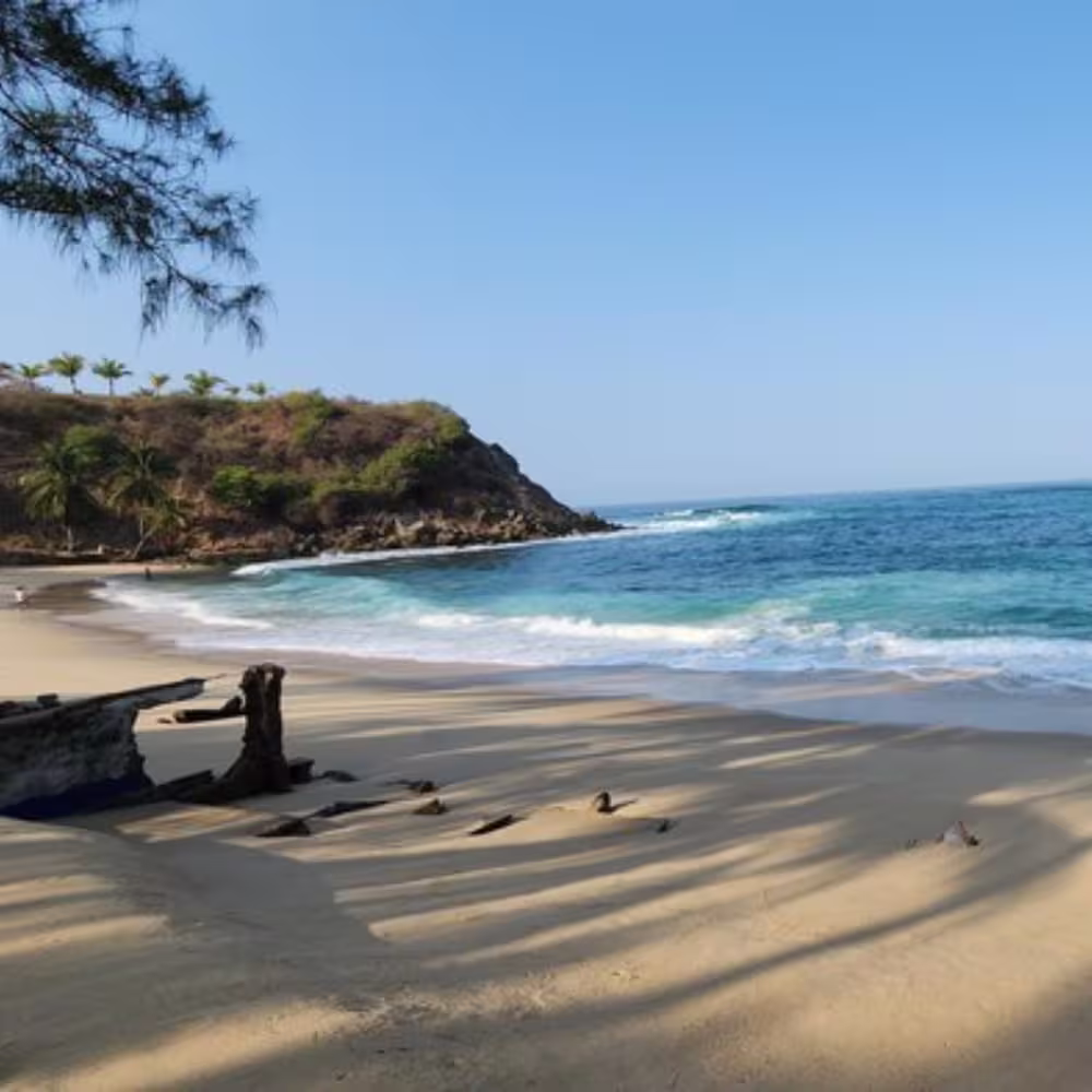 Imagen de Oaxaca Playas