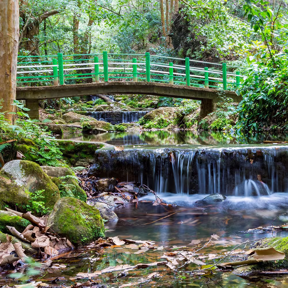 Imagen de Sierra Gorda